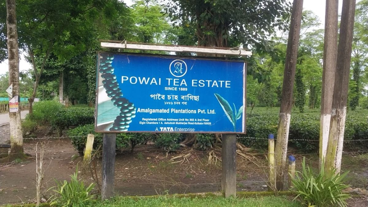 Outraged Students Sound the Alarm: Mismanagement of Electricity Funds at Assam’s Powai Tea Estate Sparks Uproar