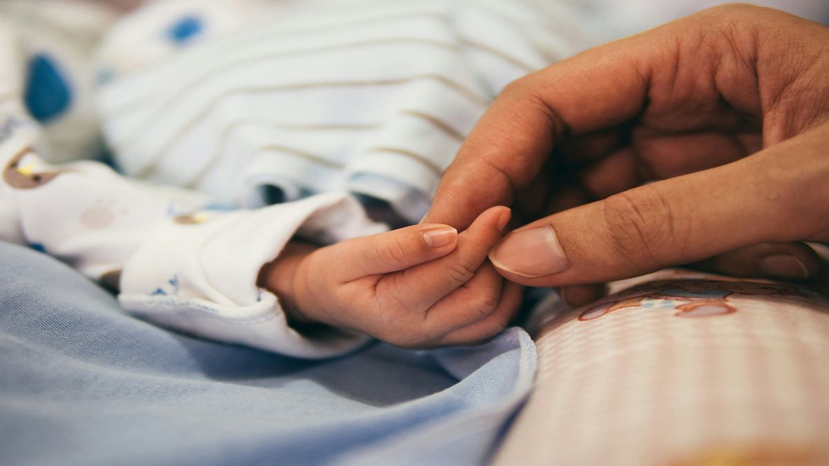 Tragic Outbreak: Chandipura Virus Claims Lives of 4 Children in Gujarat—Critical Symptoms and Urgent Treatments Revealed