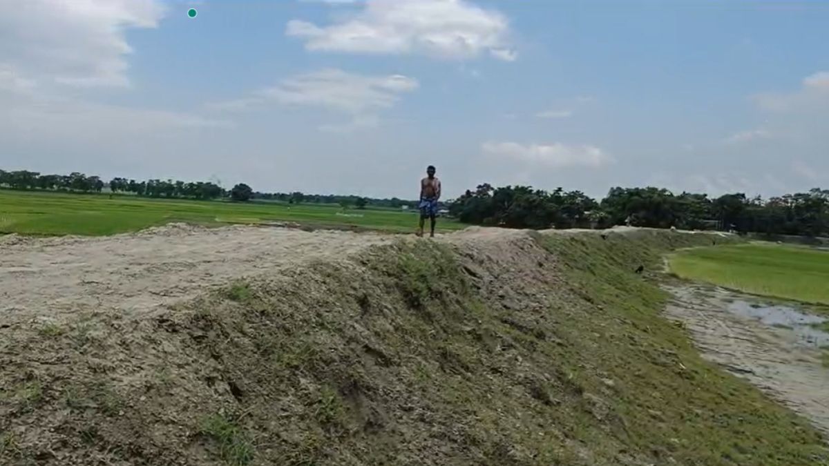 Heroic Road-Cum-Embankment in Dhubri Saves Assam’s Precious Cropland and Habitats from Devastating Floods