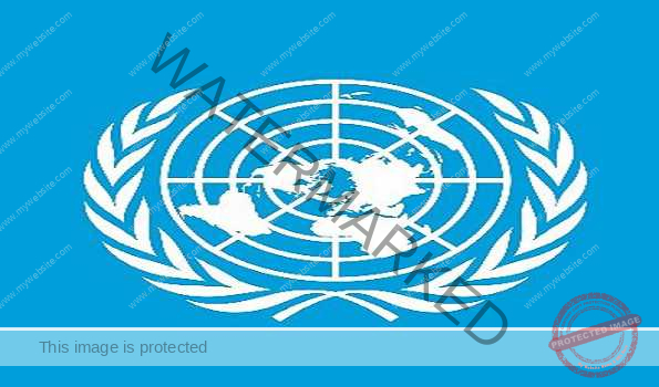 UNSC Urgently Addresses Thailand-Cambodia Border Tensions in Closed Meeting