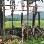 Tensions Escalate in Uriamghat: Blank Firing and Arson Shock Assam-Nagaland Border