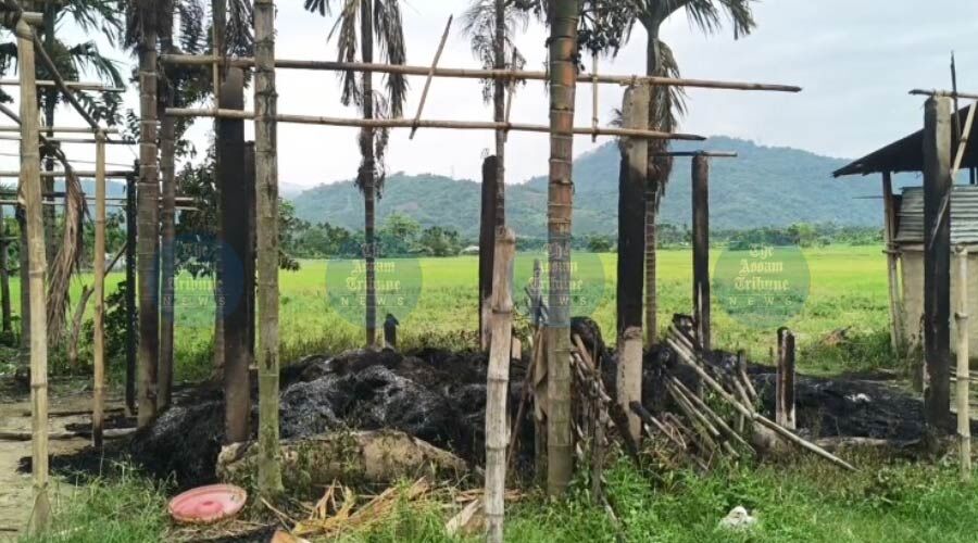 Tensions Escalate in Uriamghat: Blank Firing and Arson Shock Assam-Nagaland Border