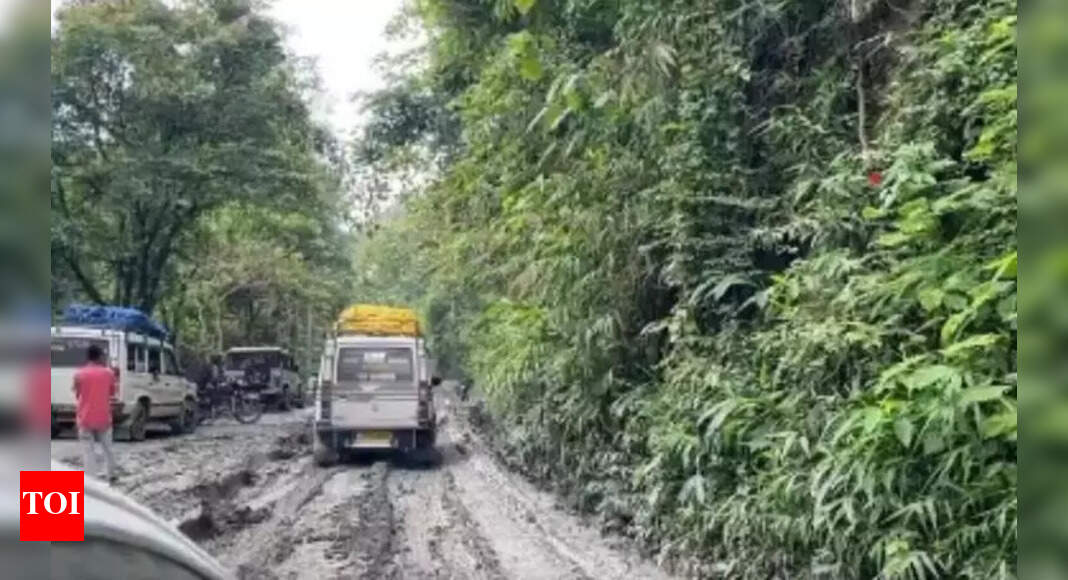 Cachar's Vital Route Becomes a Dangerous Death Trap: Urgent Concerns