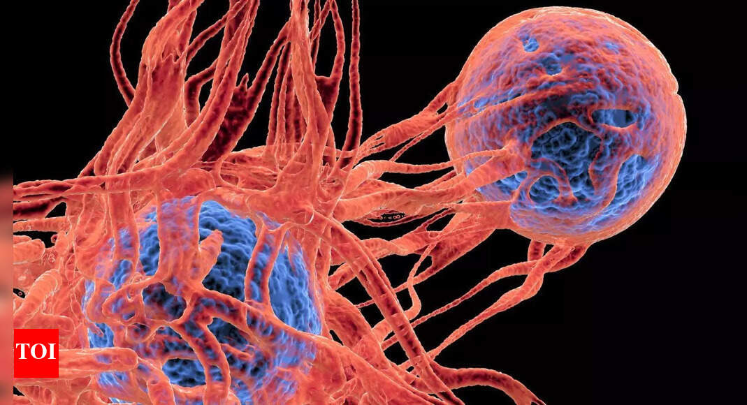 Discover How Going Vegetarian Could Slash Your Cancer Risk by 50%