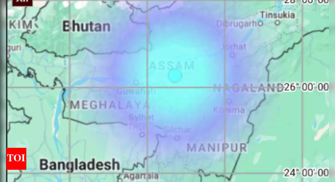 4.3 Magnitude Quake Strikes Nagaon: Assam's Seventh Tremor This Month