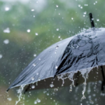 Nagaland Prepares for Intense Rainstorms: Urgent Advisory Issued!
