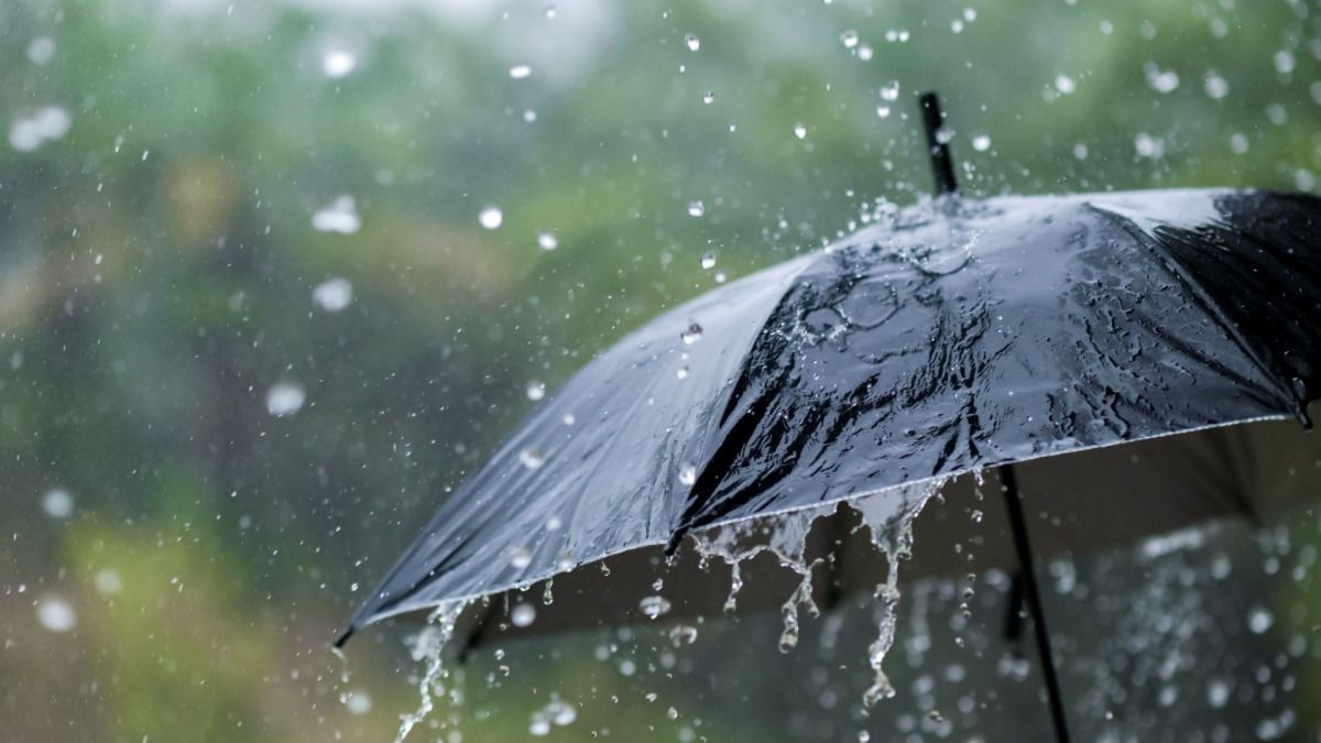 Nagaland Prepares for Intense Rainstorms: Urgent Advisory Issued!