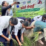 Empowering Farmers and Students: Join Yangang's Interactive Millet Program!
