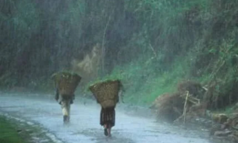 Prepare for Intense Rainfall: Nagaland Faces Heavy Showers Until August 9
