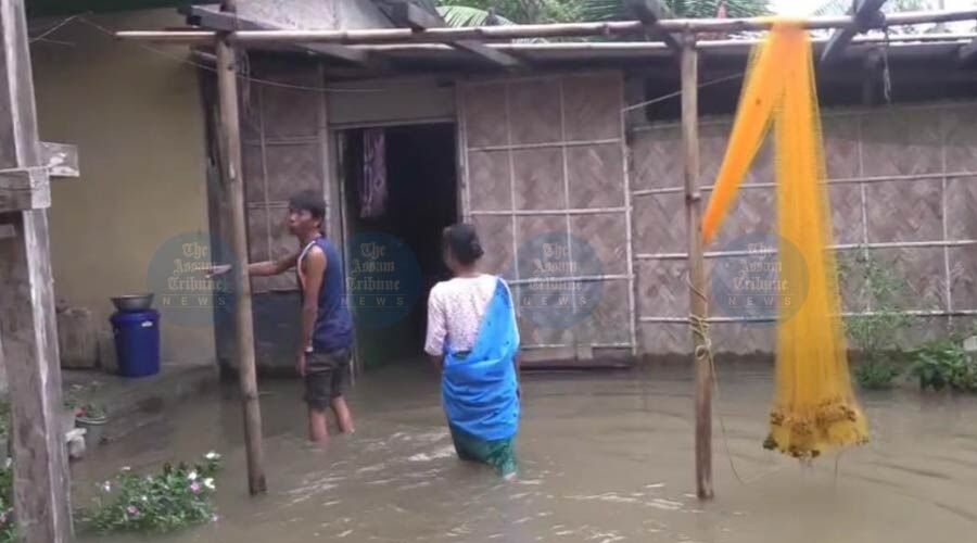 Disaster Strikes Biswanath: Lifeline Bridge Collapses, 500 Families in Crisis