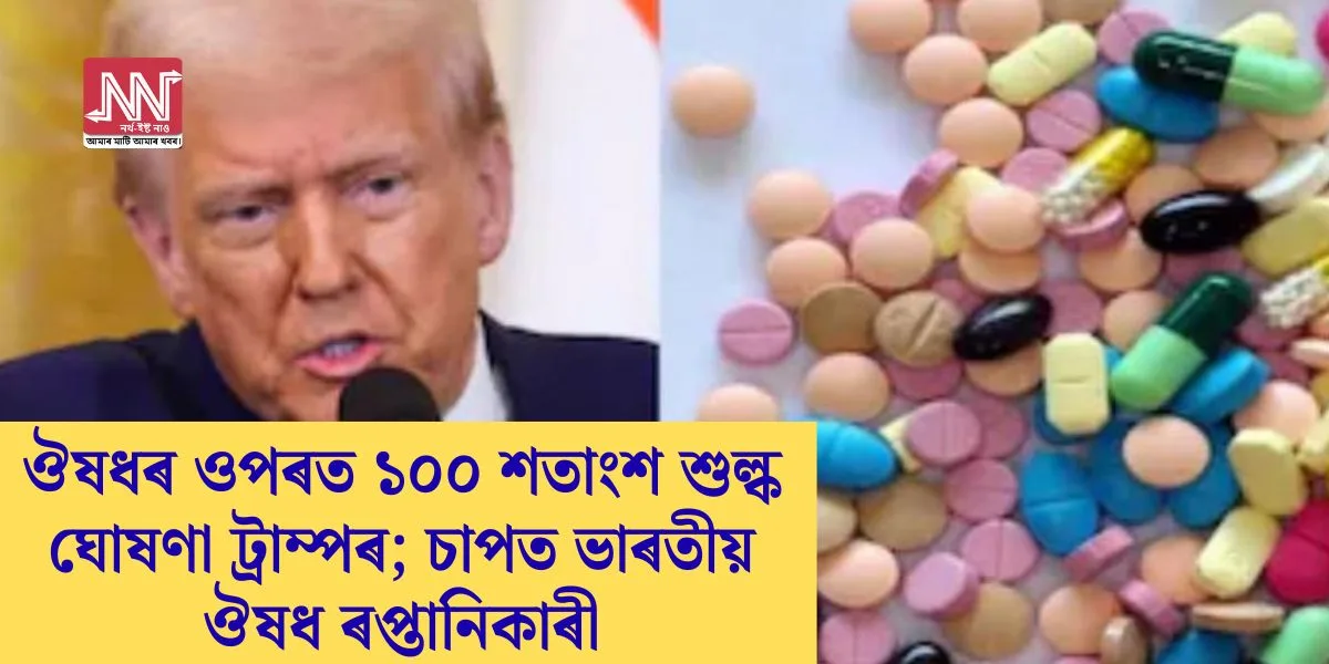 Trump's 100% Tariff on Medicines: Impact on Indian Exporters Revealed
