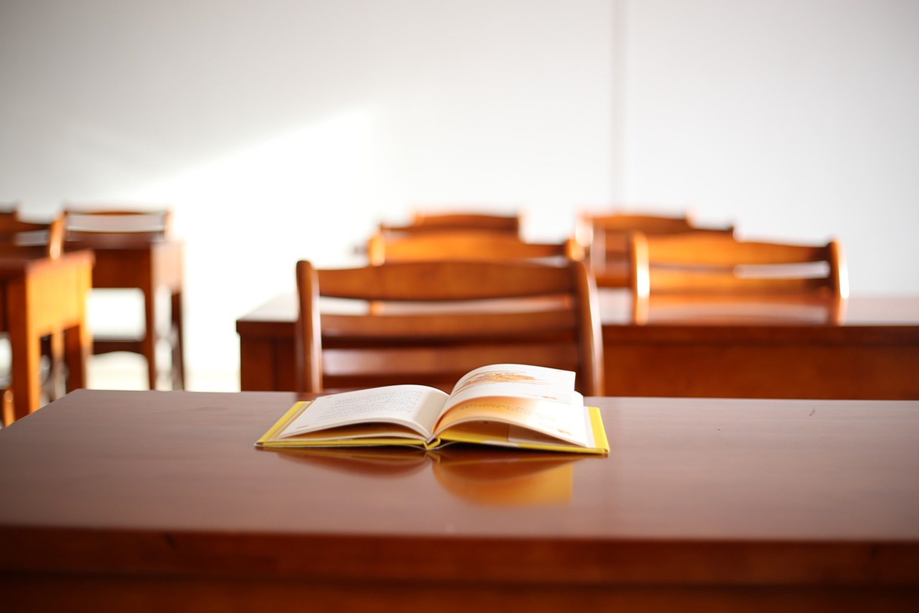Mizoram Pushes for Japanese Language Centre to Unlock Global Job Prospects