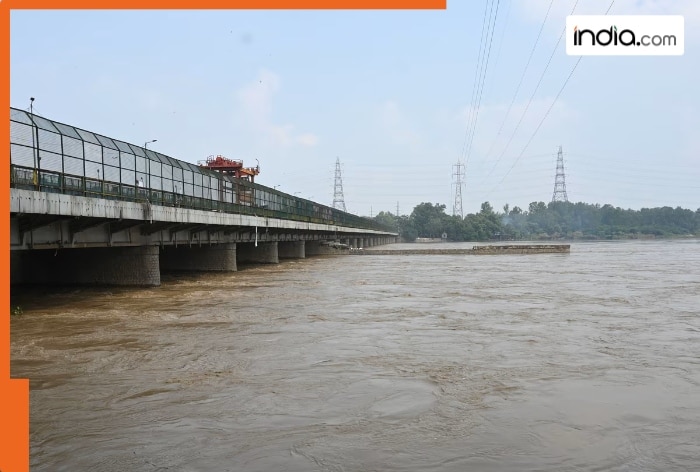 Yamuna River Nears Danger Level: Crucial 24 Hours Ahead!