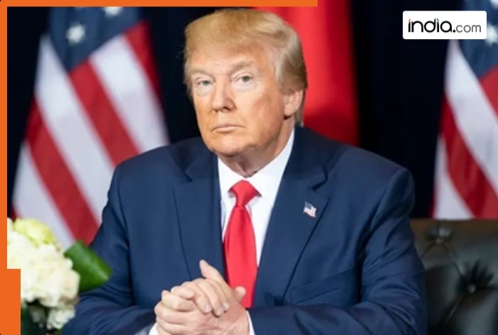 India's Timely Apology: Trump Negotiations and Tariff Conditions Unveiled