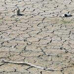 Is Your Future at Risk? The Urgent Reality of Day Zero Droughts