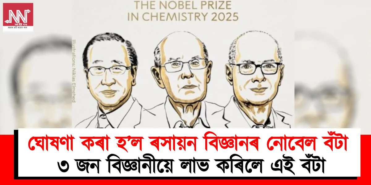Three Scientists Awarded: A Breakthrough in Innovation and Discovery!