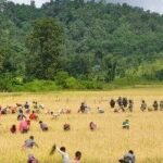Lapangap Headman Refutes Claims of Role in Karbi Villager’s Death Amid Rising Tensions