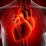 Confronting the Global Crisis: Heart Disease, Stroke, and Diabetes Impact