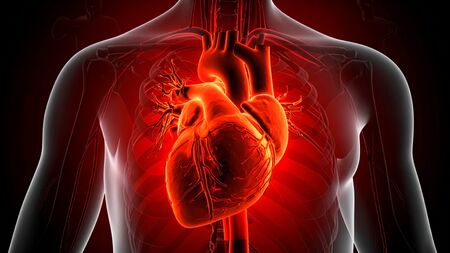 Confronting the Global Crisis: Heart Disease, Stroke, and Diabetes Impact