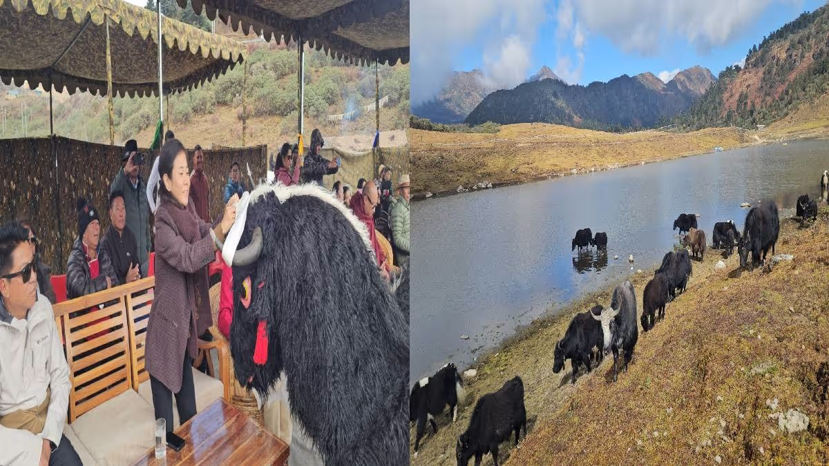 Experience the Magic of Yak Mela 3.0: Celebrating Brokpa Heritage