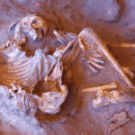 Ancient Discoveries: Sahara's 7,000-Year-Old Skeletons Unveil Lost Human Lineage