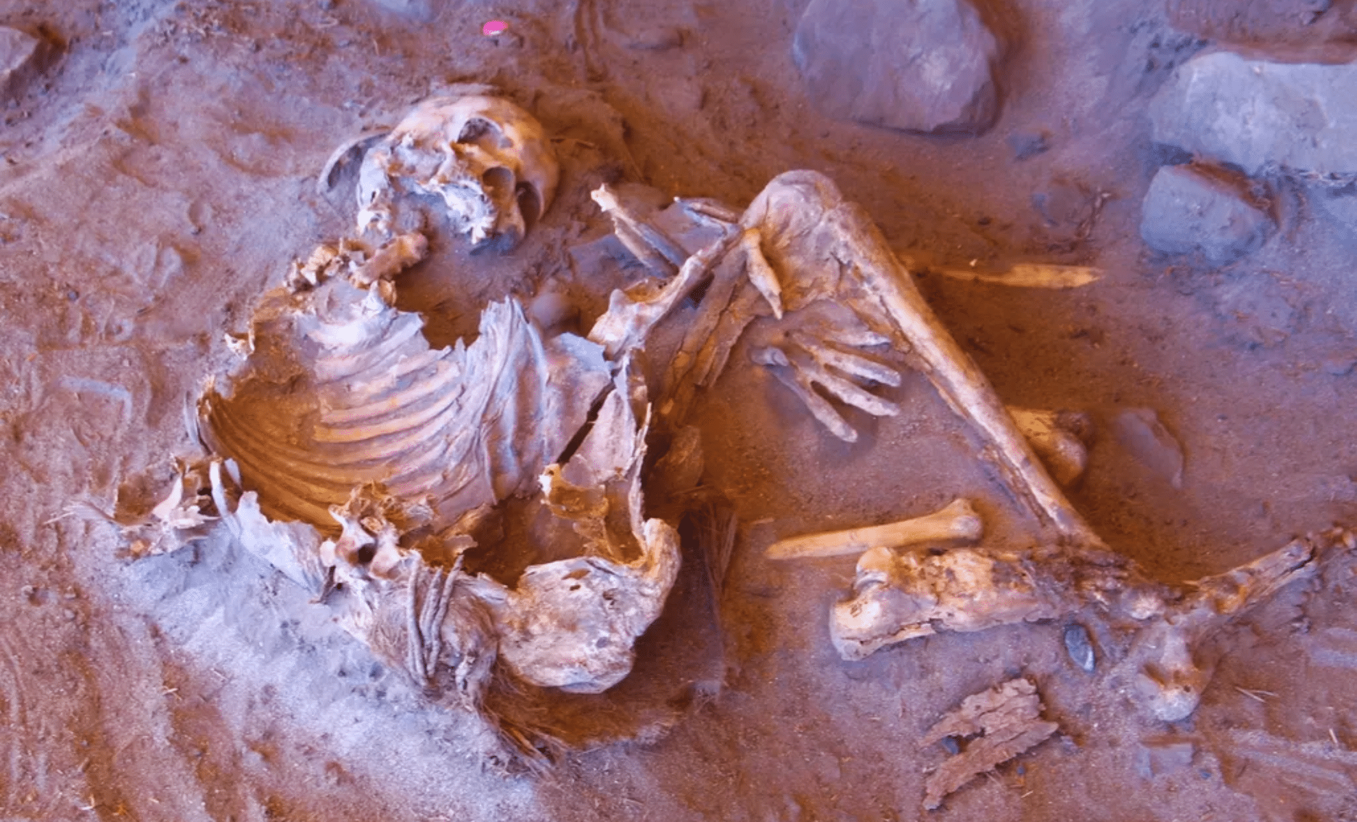 Ancient Discoveries: Sahara's 7,000-Year-Old Skeletons Unveil Lost Human Lineage