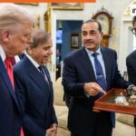 Pakistan's Rare Earth Minerals Set Sail to the US: New Trade Opportunities!