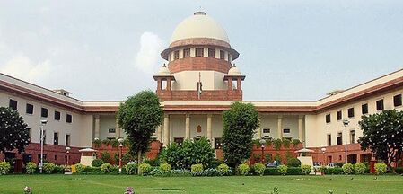 Supreme Court Orders Urgent Relocation of Stray Dogs to Shelters