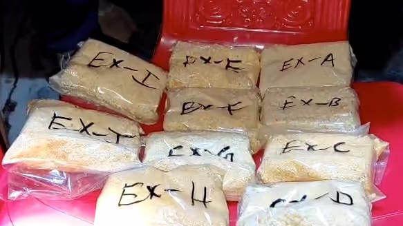 BSF Personnel Arrested in Tripura: Major Drug Bust Worth ₹5 Lakh