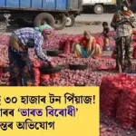 30,000 Tons of Onions Spoiling at the Border: Accusations Against Yunus Government