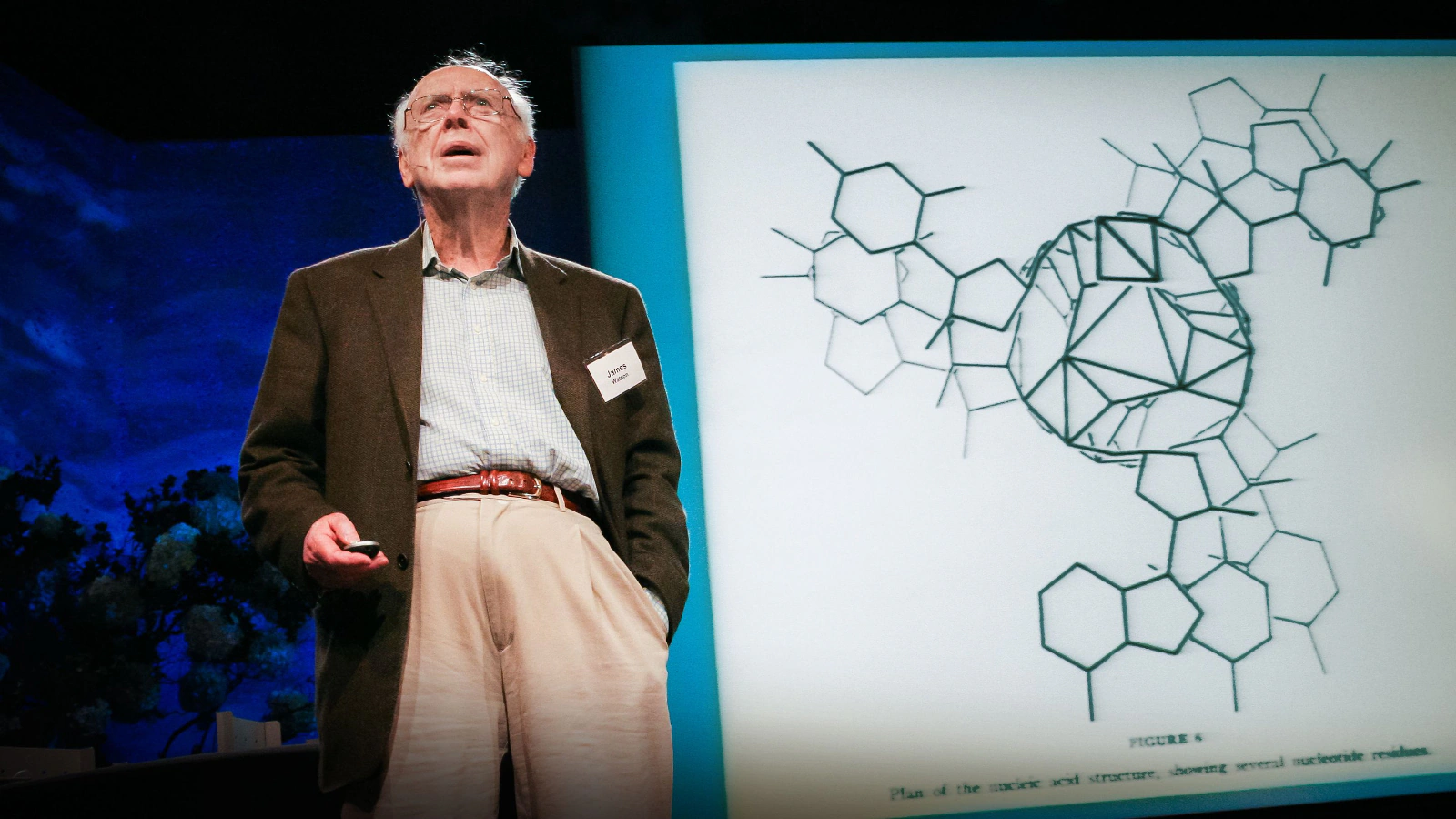 James Watson, DNA Pioneer, Passes Away at 97: A Legacy Remembered