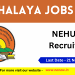 Exciting Opportunities Await: Apply Now for NEHU Tura Recruitment 2025!