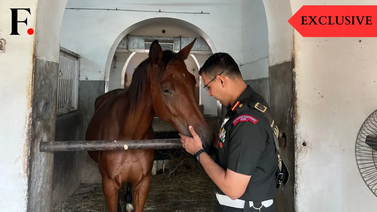 A Unique Glimpse into the Majestic Horses of Rashtrapati Bhavan