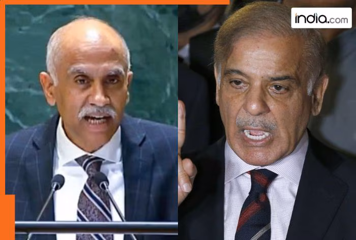 India Challenges Pakistan at UNSC: A Decades-Long Fight Against Terrorism
