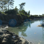 Unveiled: Ranveer Singh’s Blockbuster Set to Make HISTORY with Anticipated Global Earnings of Rs… You Can’t Miss This Exciting Journey! Urgent Call: Flood Forum Raises Alarm on Severe Erosion in West Saikhowa