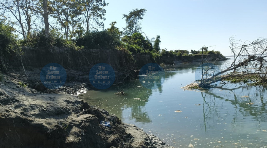 Urgent Call: Flood Forum Raises Alarm on Severe Erosion in West Saikhowa