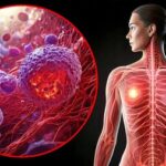 Explore Key Breast Cancer Risk Factors for Indian Women Revealed by ICMR Study