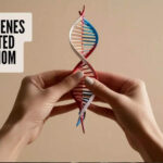 Unlocking Mother's Secrets: 7 Genetic Health Traits You Inherit