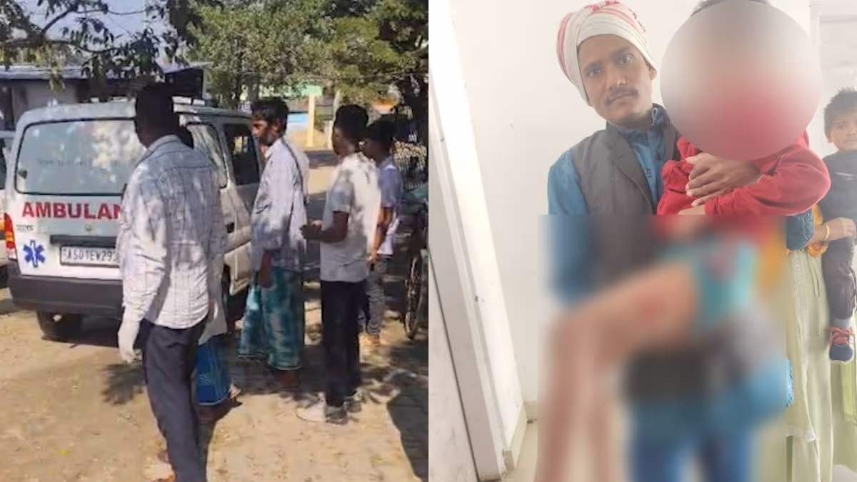 Tragic Wild Animal Attacks in Assam: Farmer Killed, Children Injured