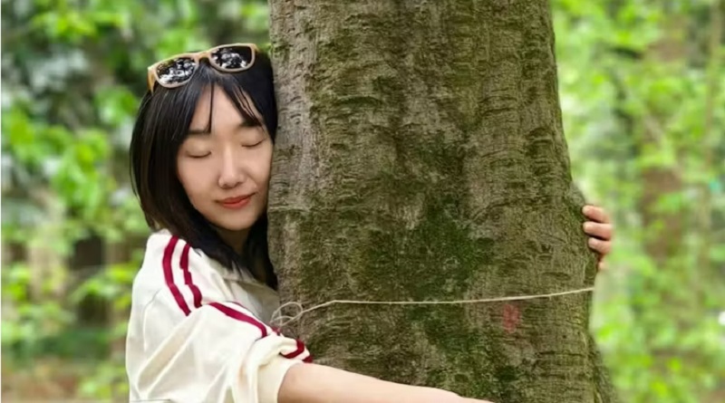 Why China's Youth Are Embracing Trees: A Growing Movement of Hope