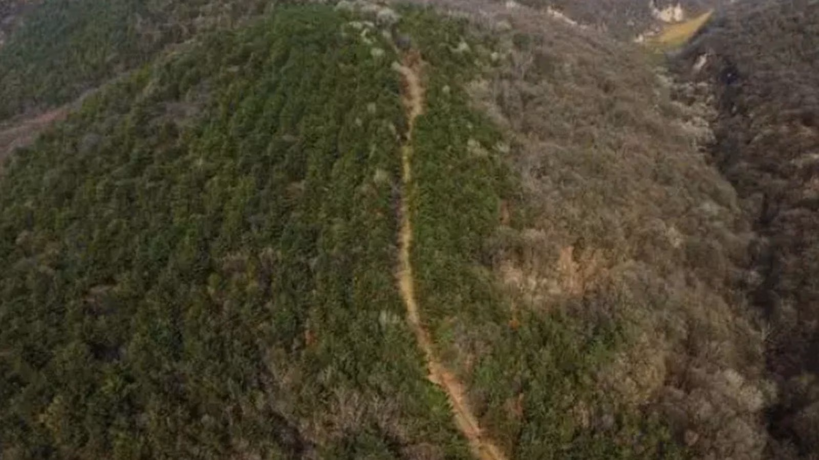 Unearthing History: Discoveries of a 2,200-Year-Old Chinese Highway