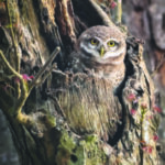 Unlock Your Potential: Transformative Tips for Personal Growth Today