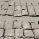 Massive Rs 14 Crore Hydroponic Ganja Bust at Hyderabad Airport!