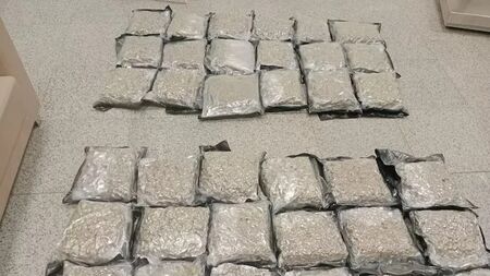 Massive Rs 14 Crore Hydroponic Ganja Bust at Hyderabad Airport!