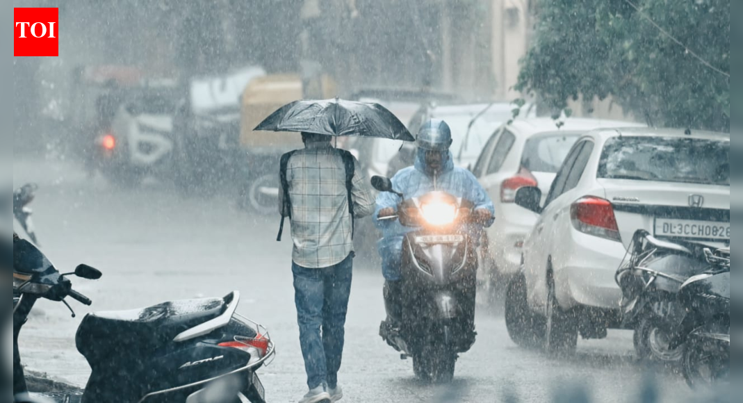 Delhi-NCR Faces Sudden Downpour; Cold Wave and Poor Air Quality Persist