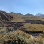 Firefighters Gain Ground: Dzükou Valley Wildfire Mostly Contained
