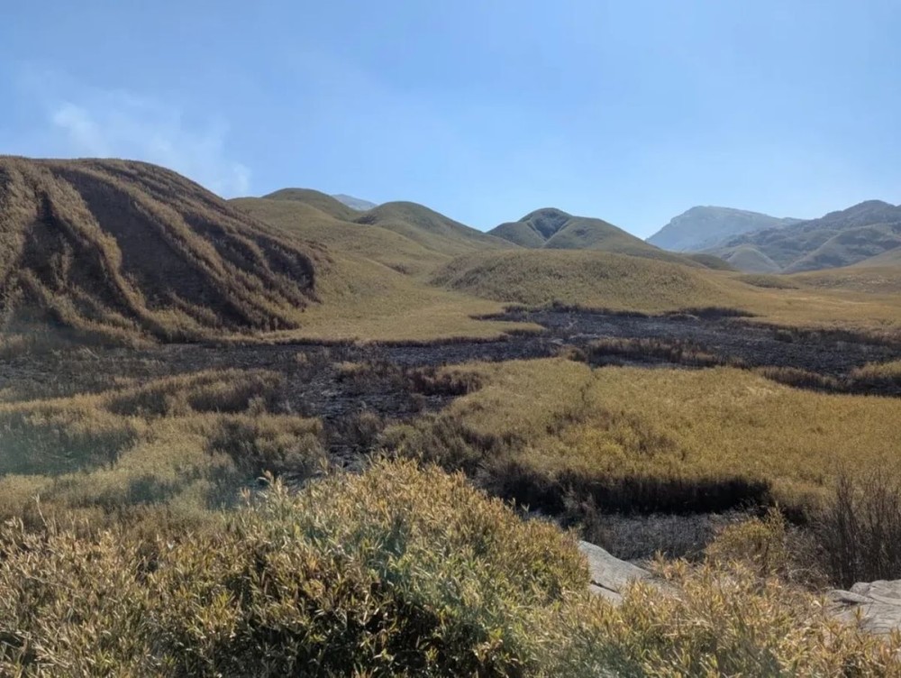 Firefighters Gain Ground: Dzükou Valley Wildfire Mostly Contained