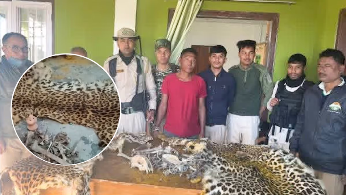 Major Wildlife Trafficking Bust on Assam-Nagaland Border: One Arrested!