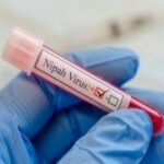 Nipah Virus Alert in Bengal: Essential Precautions for Your Safety