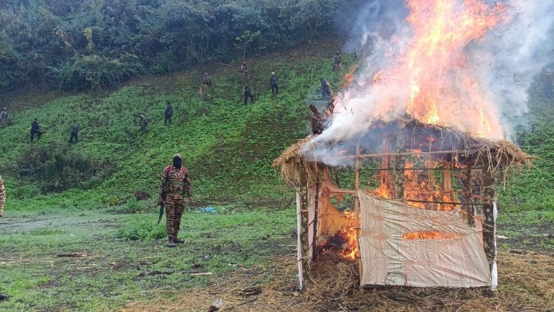 Breaking News: Security Forces Eradicate 306 Acres of Illegal Poppy Fields in Manipur